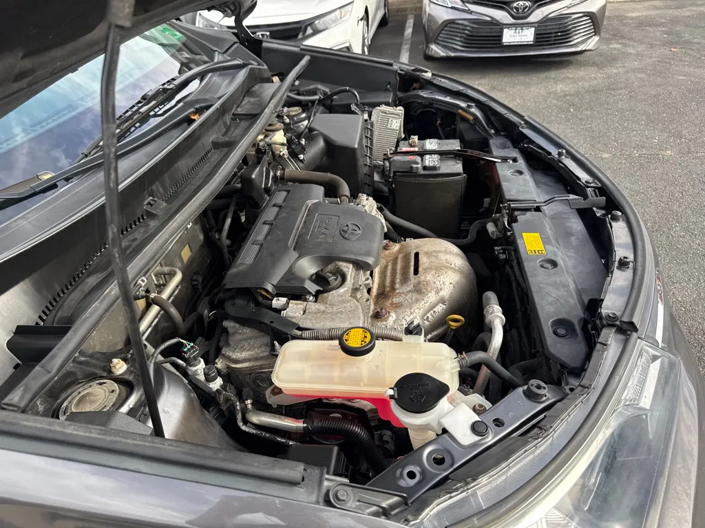 2015 Toyota RAV4 LE — photo 23 of 24
