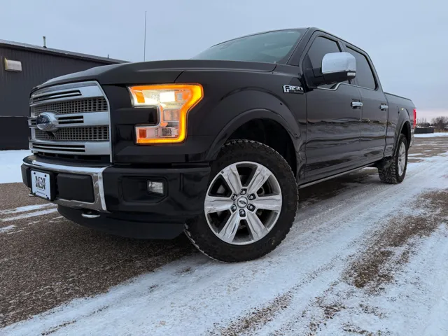 2016 Ford F-150 Platinum's photo