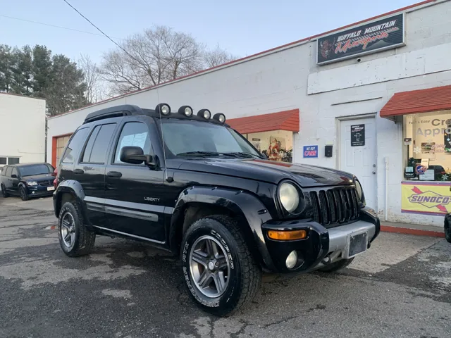 2004 Jeep Liberty Renegade's photo