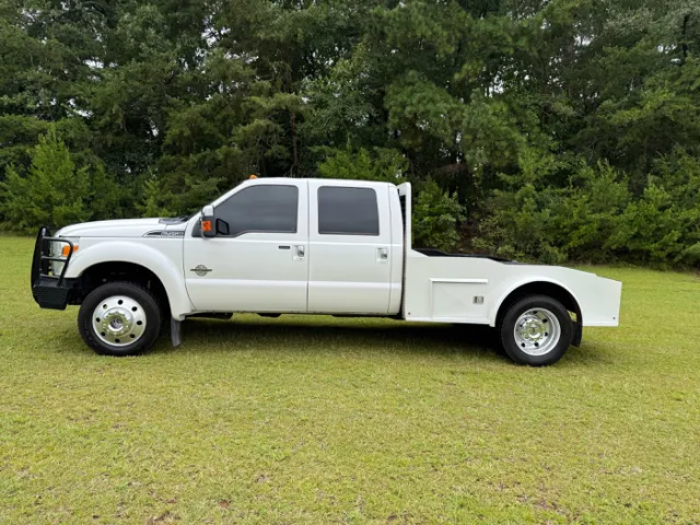 2015 Ford F-450 Super Duty Platinum's photo