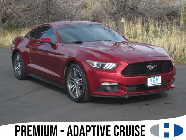 2015 Ford Mustang Mach 1's photo