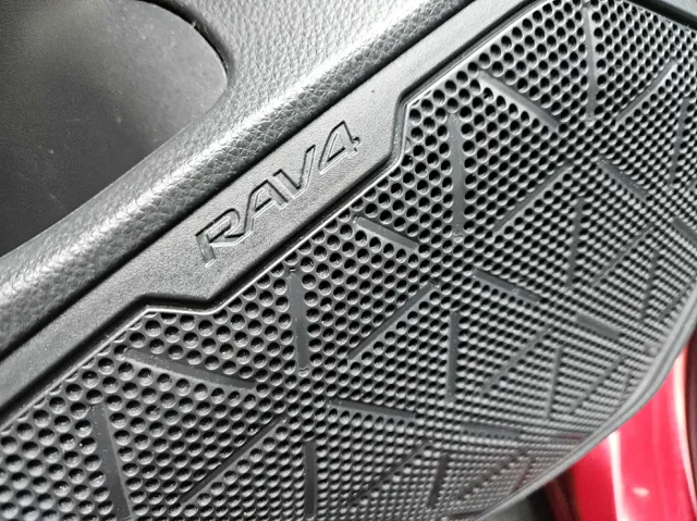 2019 Toyota RAV4 LE photo 9