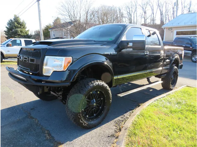 2010 Ford F-150 Platinum's photo