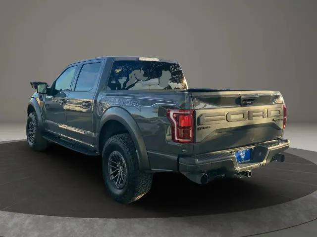 2020 Ford F-150 Raptor - Photo 6