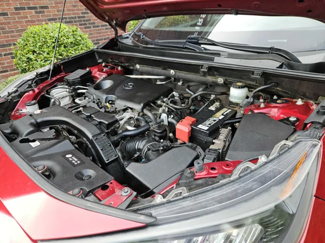 2019 Toyota RAV4 LE photo 6
