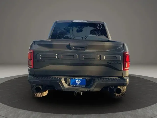 2020 Ford F-150 Raptor - Photo 7