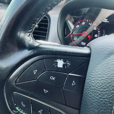 2019 Dodge Charger SXT - Photo 10