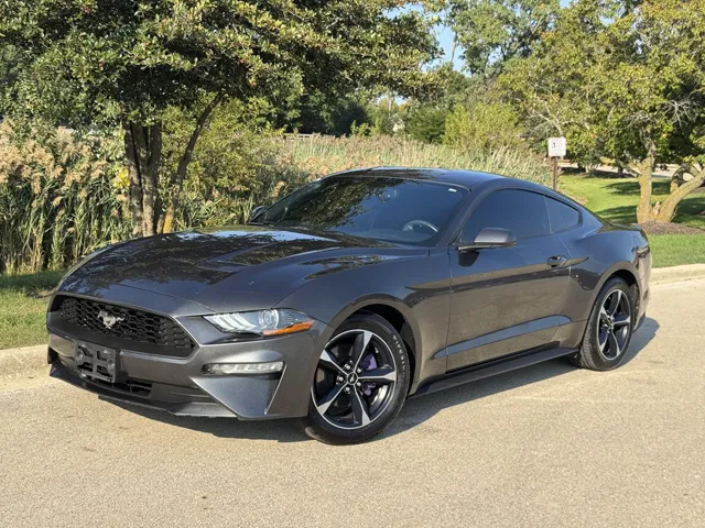 2019 Ford Mustang