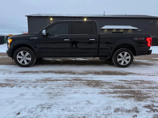 2016 Ford F-150 photo 3