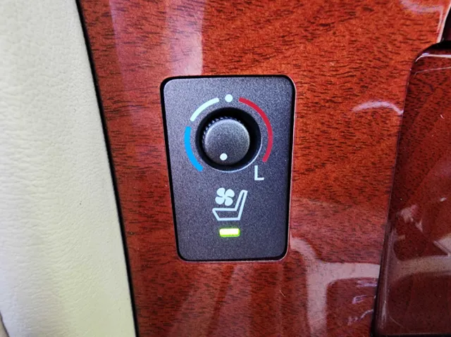 2010 Lexus LX 570 photo 21