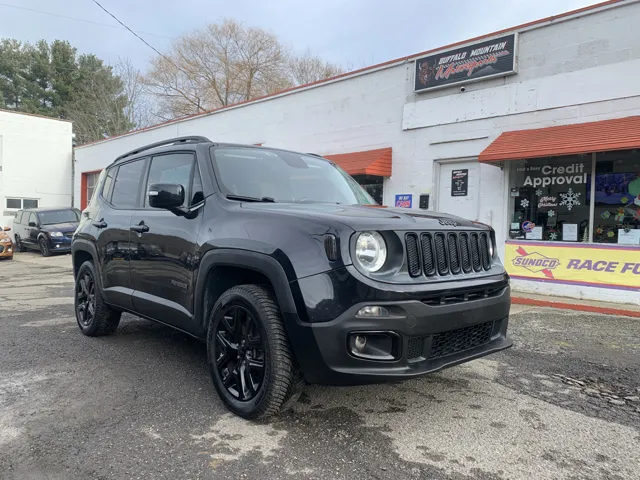 2016 Jeep Renegade Justice Special Edition's photo