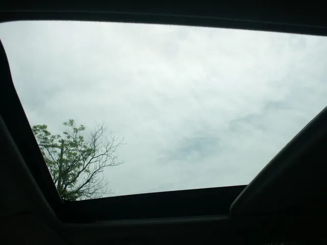 View 14