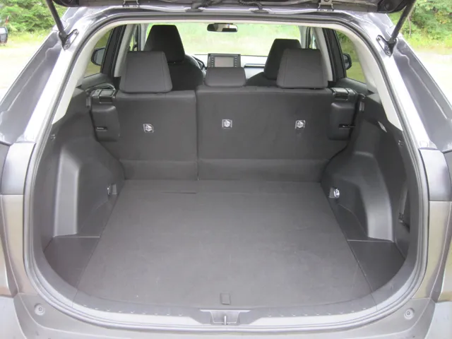 2021 Toyota RAV4 LE - Photo 9