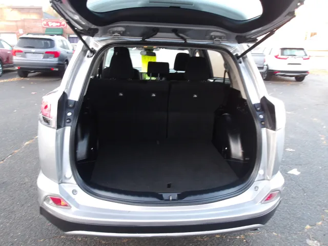 2018 Toyota RAV4 LE photo 13