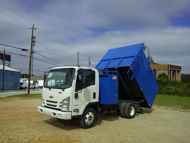 2021 Chevrolet Low Cab Forward