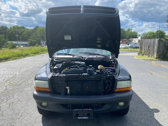2003 Dodge Dakota Quad Cab photo 18