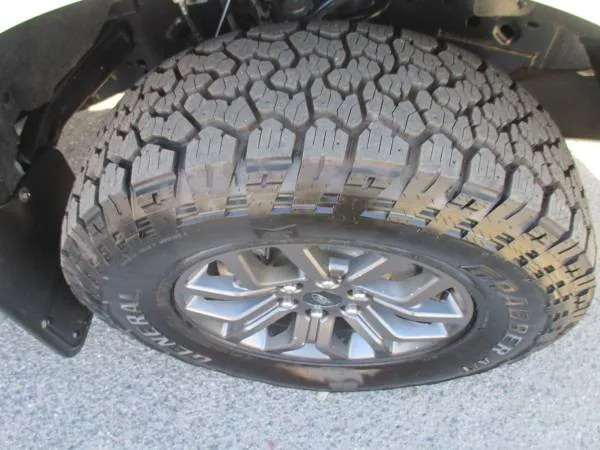 2023 Ford F-150 Tremor - Photo 12