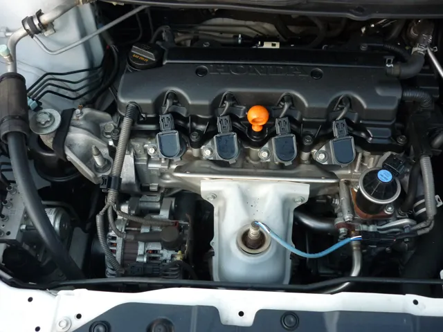 View 25