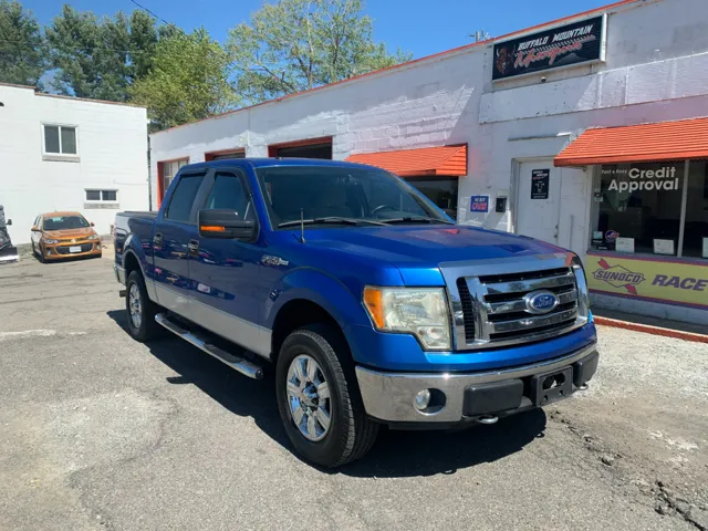 2010 Ford F-150