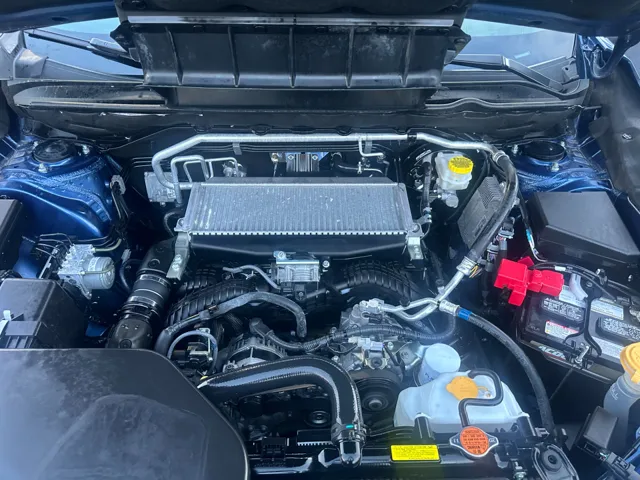 View 25