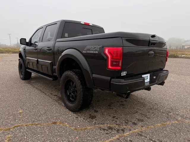 2015 Ford F-150 photo 2