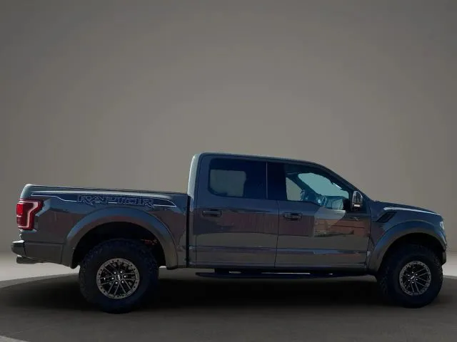 2020 Ford F-150 Raptor - Photo 16