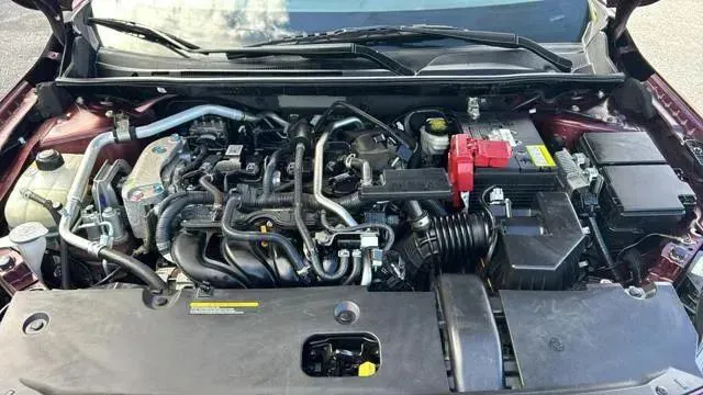 View 42
