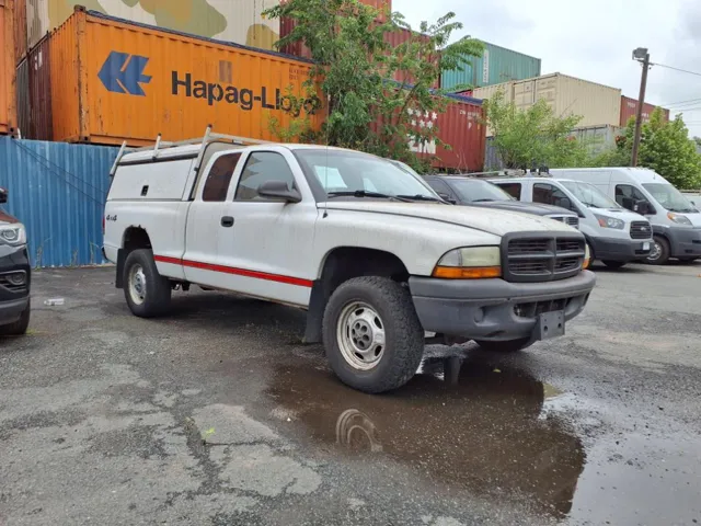 2003 Dodge Dakota SLT (Fleet)