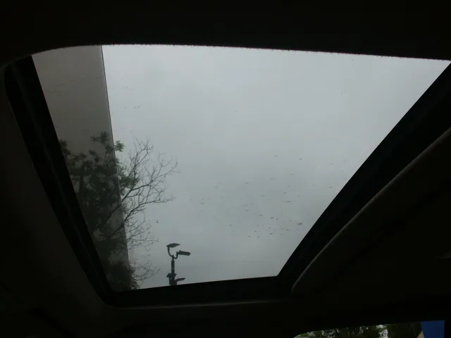View 16