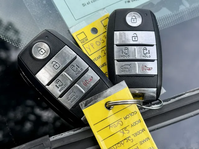 2015 Kia Sedona SX - Photo 6