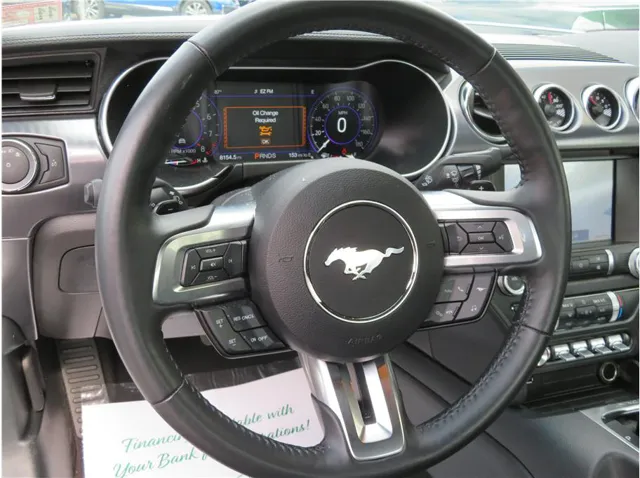 2022 Ford Mustang Mach 1 - Photo 9