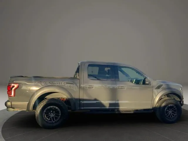 2020 Ford F-150 Raptor - Photo 4