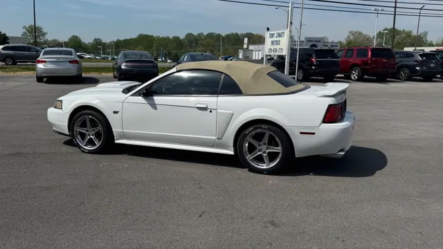 2003 Ford Mustang's photo