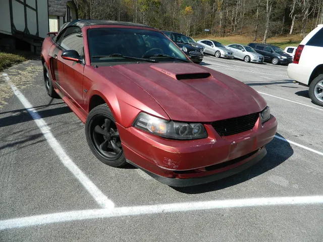 2002 Ford Mustang's photo