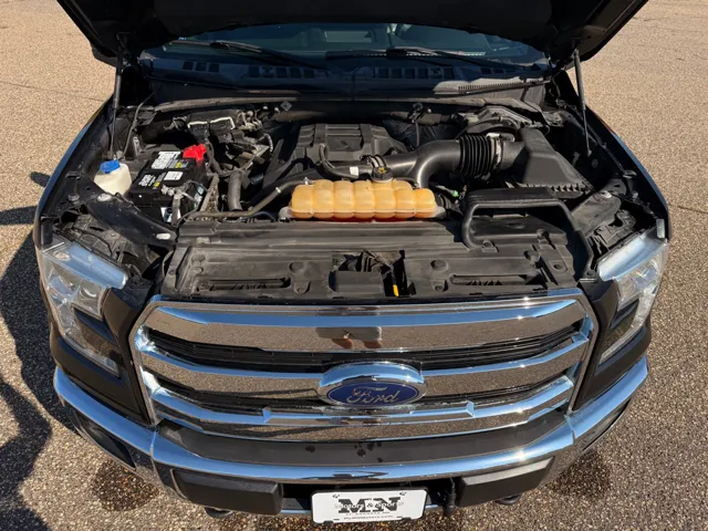 2015 Ford F-150 photo 11