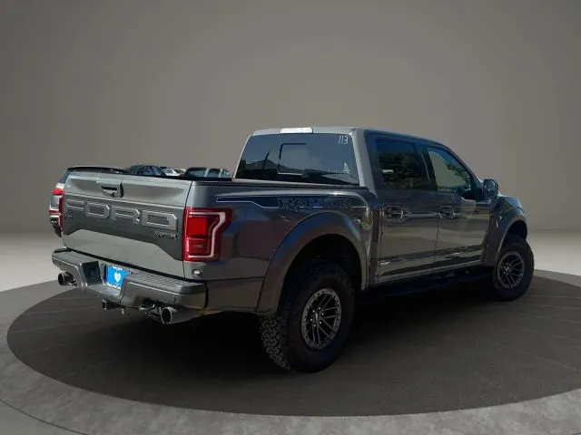 2020 Ford F-150 Raptor - Photo 19