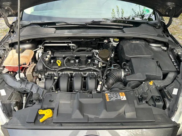View 19