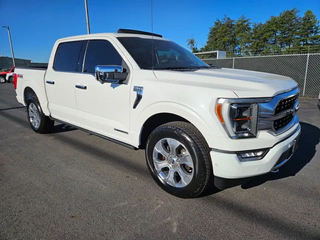 2021 Ford F-150 Platinum's photo