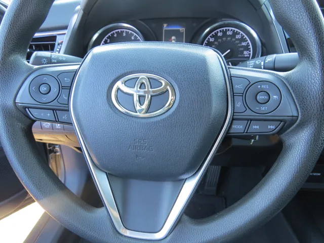 2019 Toyota Camry LE photo 10