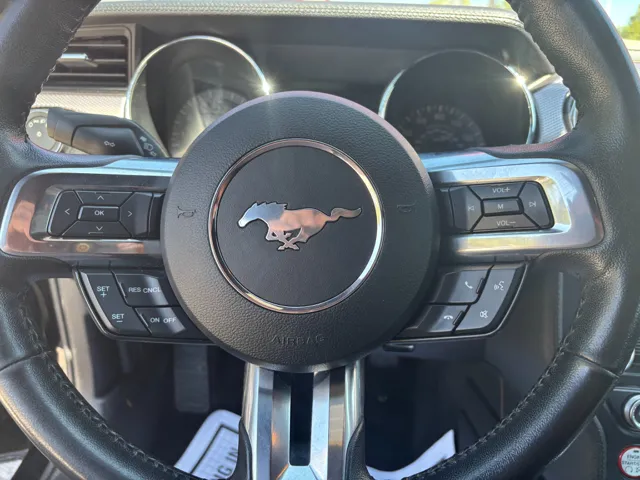 2016 Ford Mustang GT photo 11