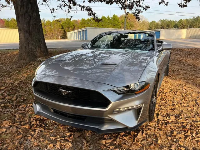 2020 Ford Mustang EcoBoost's photo