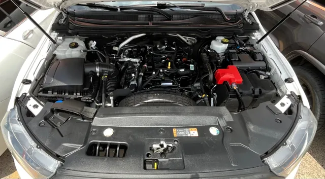 View 25